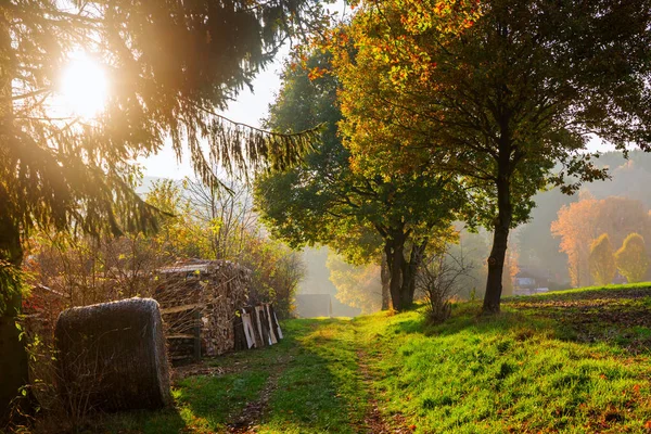 Sonbahar renkleri ile kırsal manzara — Stok fotoğraf