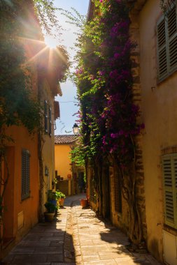 Grimaud, Güney Fransa sokakta