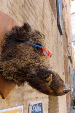 doldurulmuş bir duvara asılı bir domuzu başkanı