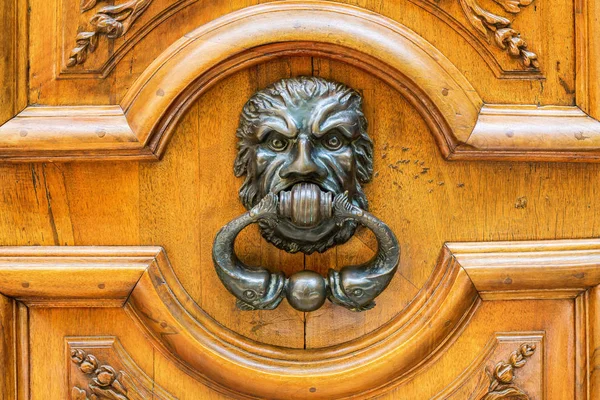 Old doorknocker in Aix-en-Provence, France — 图库照片