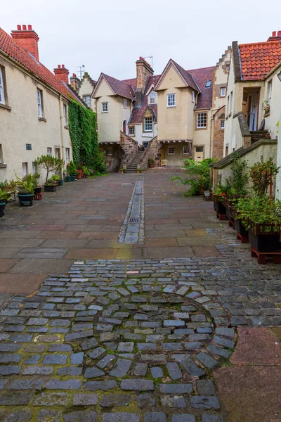 Schimmel in edinburgh, Schottland — Stockfoto