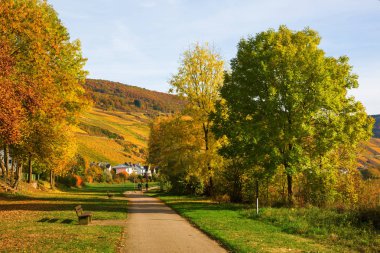 nehir kenarında yürüyüş Merl, Rhineland-Palatinate, Almanya