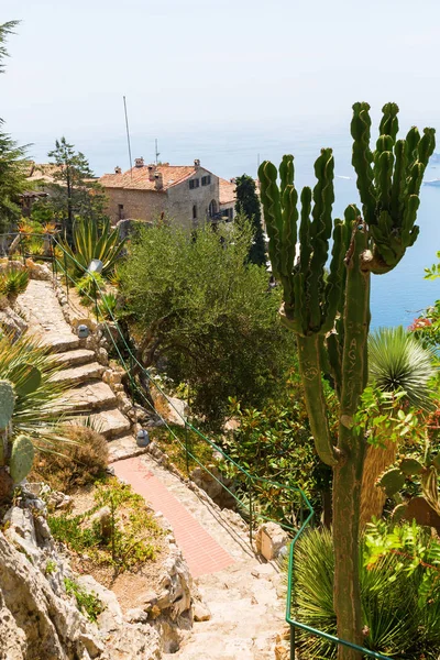 View from the exotique garden in Eze, South France, to the Mediterranean Sea — Stock Photo, Image