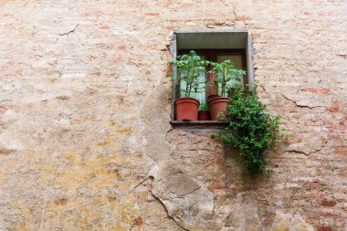 Siena'da bir eski bina, pencere