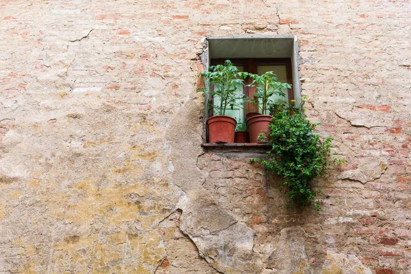 Fönster på en gammal byggnad i Siena — Stockfoto