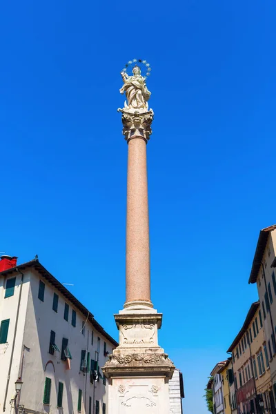 Marian Column in Lucca, Italy — Stock Photo, Image