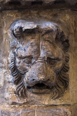 Aslan bir duvar Floransa'da heykel