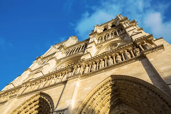 Перед собором Парижской Богоматери — стоковое фото