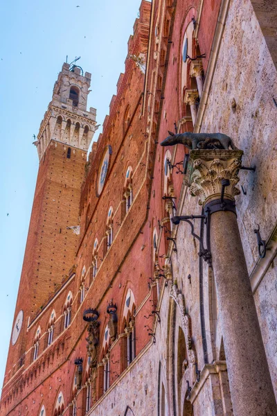 Torre del Mangia Siena ile Palazzo Pubblico — Stok fotoğraf