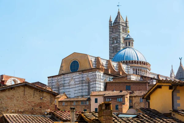 Siena kathedrale in siena, italien — Stockfoto
