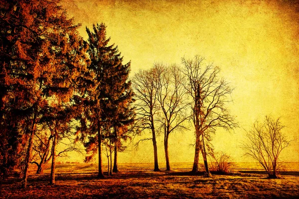 Árvores com textura estilo antigo — Fotografia de Stock
