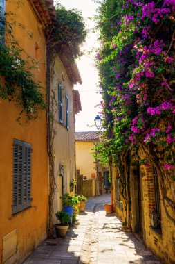 pitoresk sokakta Grimaud, Fransa