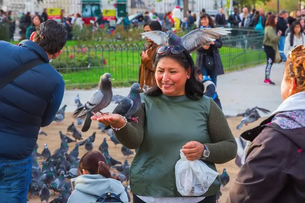 Notre Dame de Paris adlı güvercin besleyen insanlar