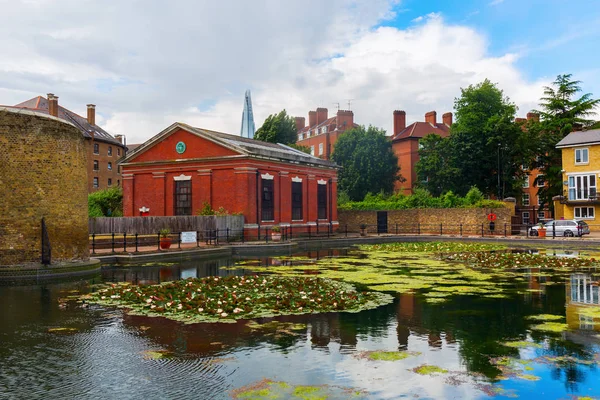 Lily pond in London, UK — Stock Photo, Image