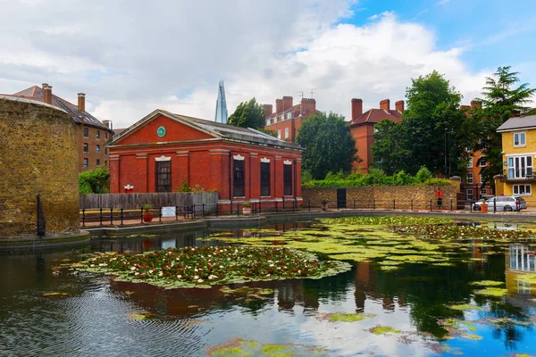 LelieVijver in Londen, Verenigd Koninkrijk — Stockfoto