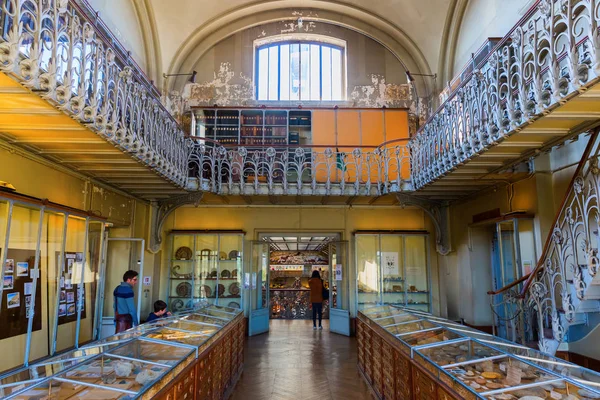 法国巴黎-2016 年 10 月 16 日︰ 古生物画廊和比较解剖学在巴黎，与身份不明的人。属于国家自然历史博物馆在植物园 — 图库照片