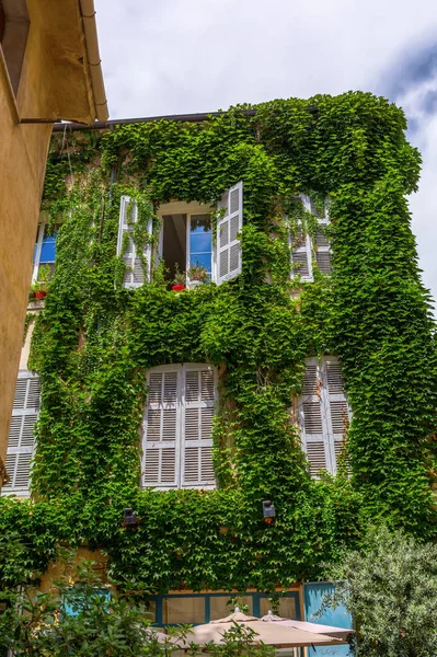Casa vestida de videira pitoresca em Aix-en-Provence — Fotografia de Stock