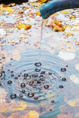 su bassin içinde bırakarak