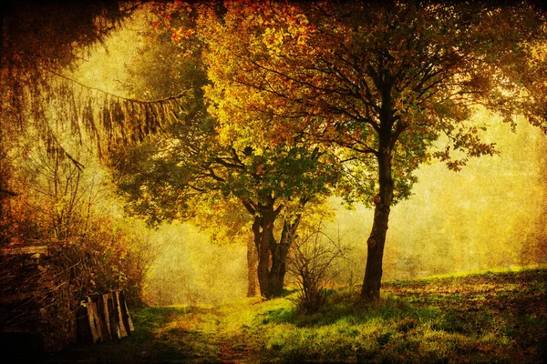 秋季景观与仿古风格纹理 — 图库照片