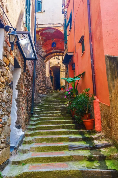 Pintoresco callejón en Vernazza, Italia — Foto de Stock