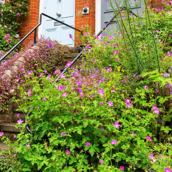 Entrance with geranium plants in London — Stock Photo, Image