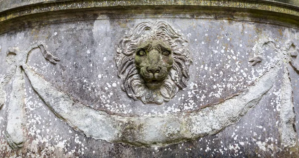 Lví hlava ve Florencii, Itálie — Stock fotografie