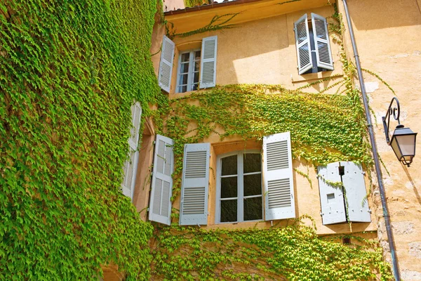Platerowane winorośli starego budynku w Aix-en-Provence we Francji — Zdjęcie stockowe