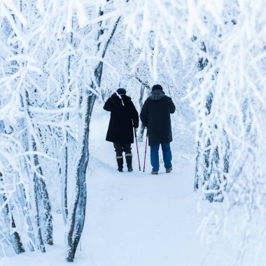karlı manzarada yürüme Çift