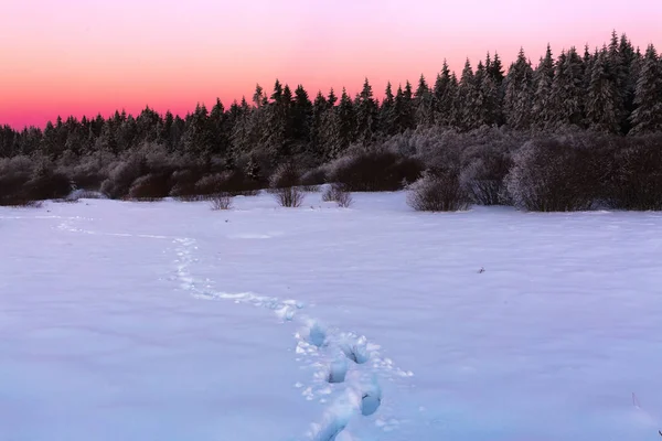 Зимовий пейзаж у сутінках у високих Vens — стокове фото