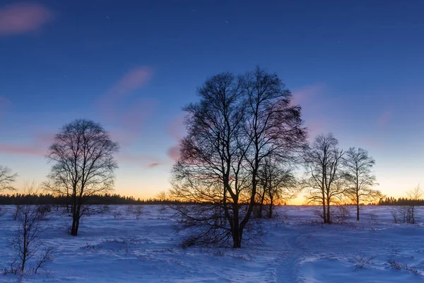 Winterlandschaft in der Abenddämmerung im Hochgebirge — Stockfoto