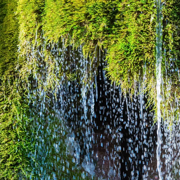 Running water from a moss covered rock — Stock Photo, Image