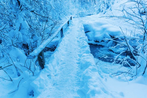 Сніжний міст через гірський потік — стокове фото