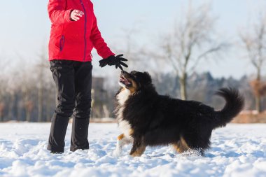 Karda bir köpekle kadın çalış
