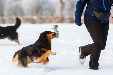 Karda bir köpekle kadın çalış