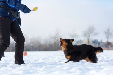 Karda bir köpekle kadın çalış