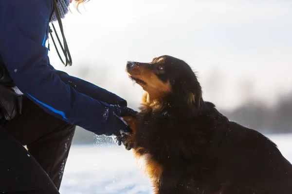 Mujer limpia la pata de un perro en invierno — Foto de Stock
