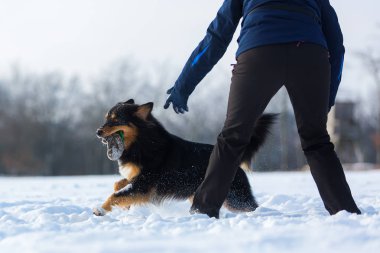 Karda bir köpekle kadın çalış