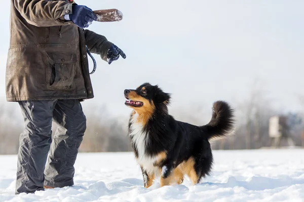 Man spelar med en hund i snö — Stockfoto
