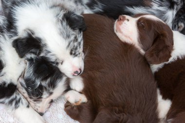 yukarıda diğer uyku kukla