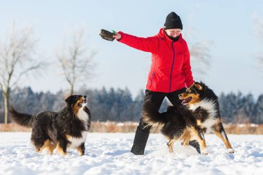 üst düzey kadın ile köpek karda oynarken