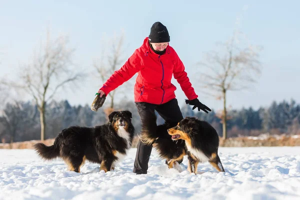 Senior mujer jugando con perro en la nieve — Foto de Stock