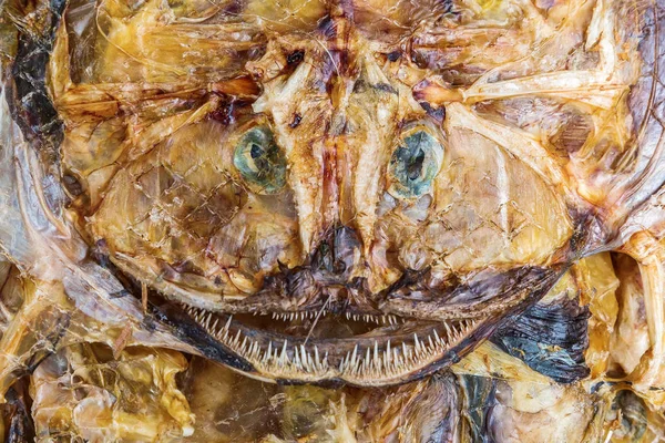Picture of a dried monkfish — Stock Photo, Image