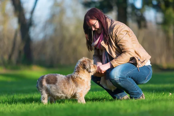 Jovem mulher dando seu cão um deleite — Fotografia de Stock
