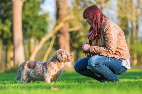 Jovem mulher com seu cão na grama — Fotografia de Stock