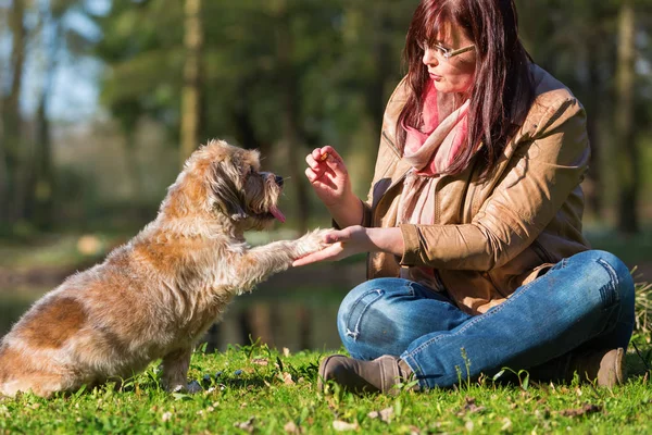 Mulher dá cão um deleite e recebe a pata — Fotografia de Stock