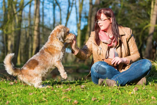 Young woman gives her dog a treat — Stock Photo, Image