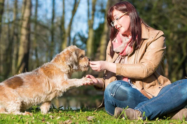 woman gives dog a treat and gets the paw