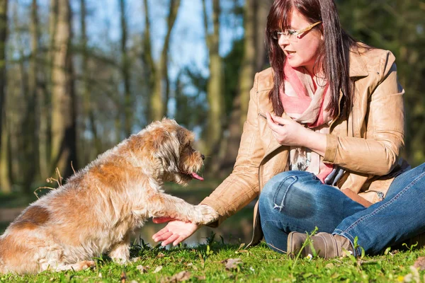 Mulher dá cão um deleite e recebe a pata — Fotografia de Stock