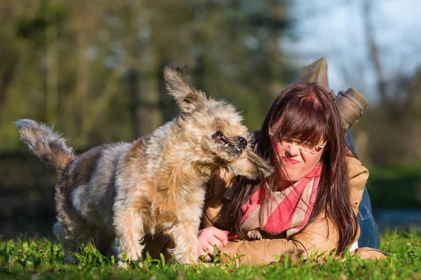 Bonito cão shakes seu tinha ao lado de uma mulher — Fotografia de Stock