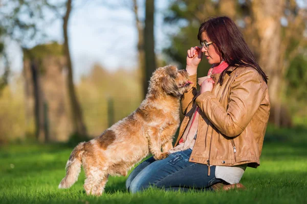 Jovem mulher dando seu cão um deleite — Fotografia de Stock